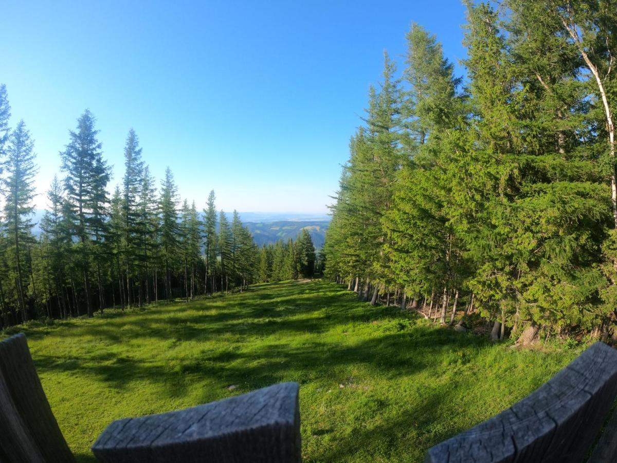 Weixl Schi&Bike Appartements-Bike In&Bike Out Neben Wexl Trails Bikepark Санкт-Корона-ам-Вексель Экстерьер фото